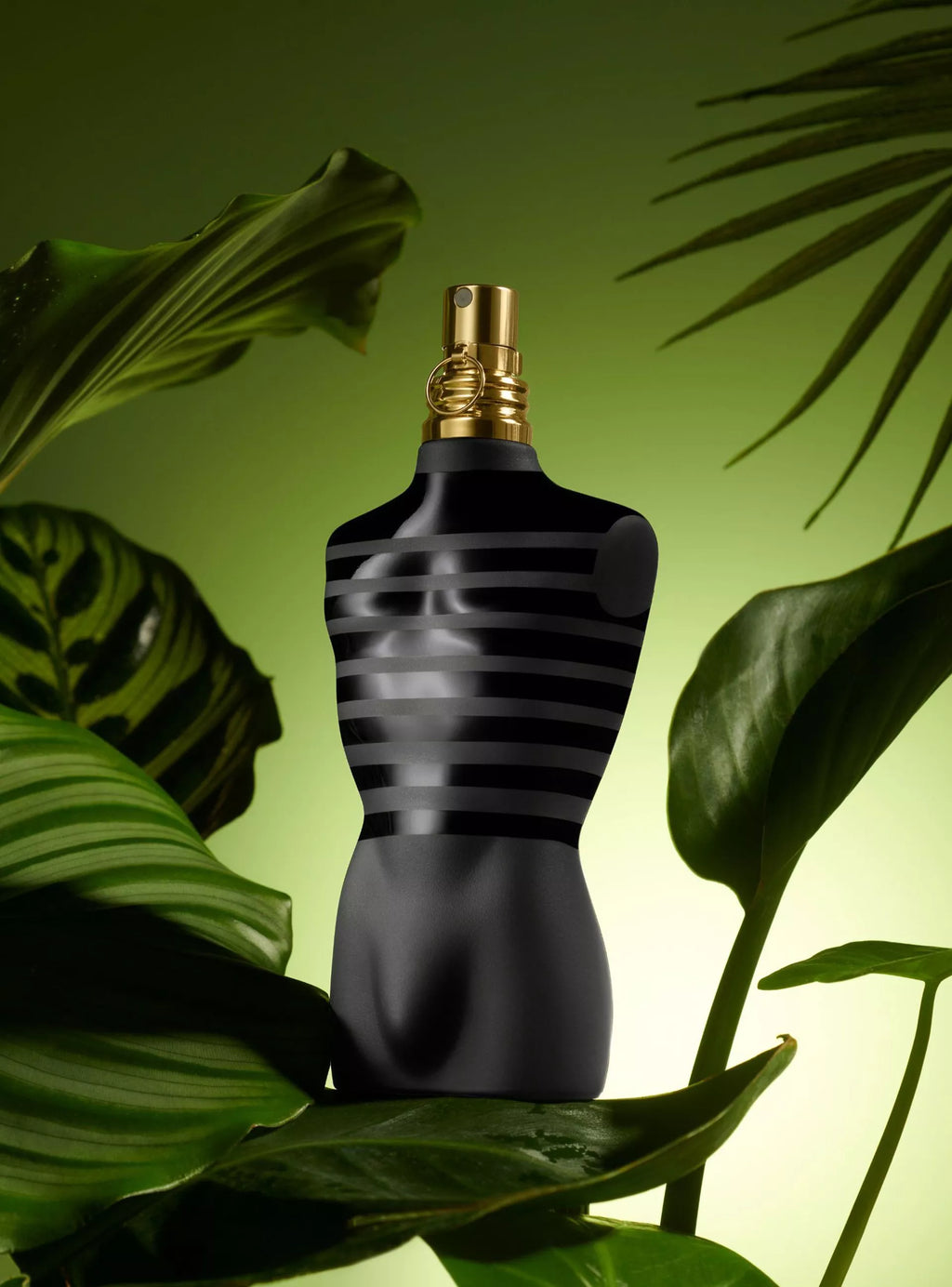 Perfume Jean Paul Gaultier Le Male Le Parfum