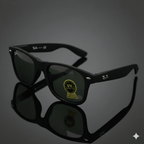 Gafa 041 (RB) Desarmable