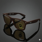 Gafa 041 (RB) Desarmable