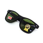 Gafa 041 (RB) Desarmable