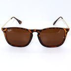 Gafa 066 (RB)